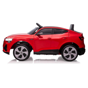 17441382583513-jamaraaudietronautocavalcabile