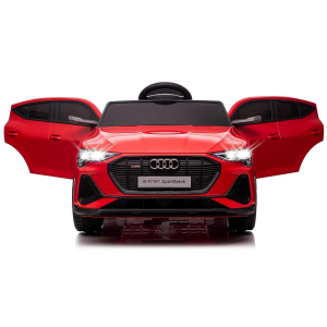 17441382591634-jamaraaudietronautocavalcabile