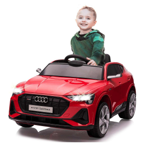 17441382610237-jamaraaudietronautocavalcabile