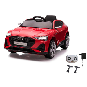 1744138261945-jamaraaudietronautocavalcabile