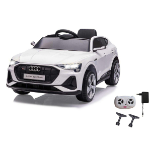 17441382705114-jamaraaudietronsportbackautocavalcabile