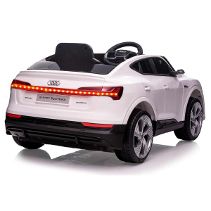 17441382729884-jamaraaudietronsportbackautocavalcabile