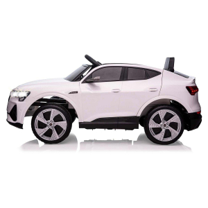 17441382737707-jamaraaudietronsportbackautocavalcabile