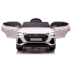 17441382755232-jamaraaudietronsportbackautocavalcabile
