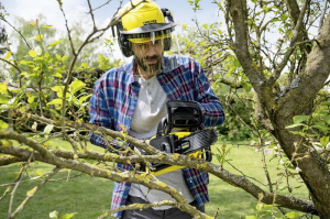 17441497636016-karchercns1830batterynerogiallo