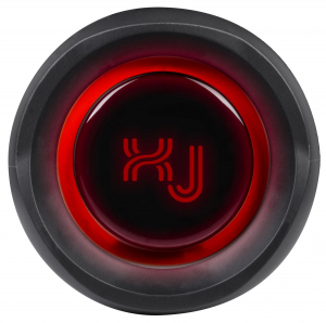 1744165538958-xjumpaltoparlanteamplificato40wwirelesstwsauxinxj100nero