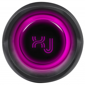 1744165540634-xjumpaltoparlanteamplificato40wwirelesstwsauxinxj100nero