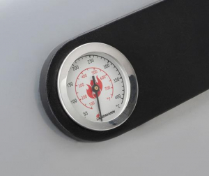 17441876177967-landmanntritonpts41grillcarrellogasneroacciaioinox3500w