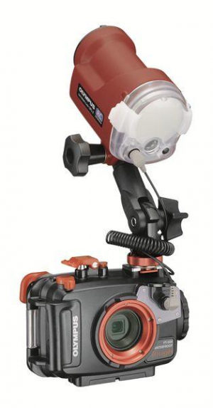 17442510820105-olympusufl3rosso