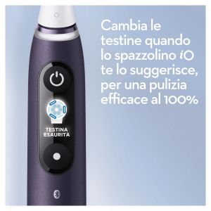 17442520620506-oralbio8sviola