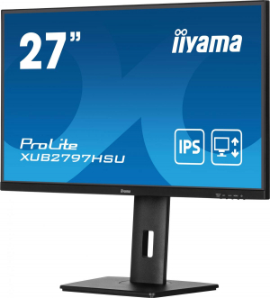 17443594151221-iiyamaprolitexub2797hsub2monitorpc686cm271920x1080pixelfullhdlednero