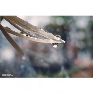 17443960812004-lensbabyvelvet56slr