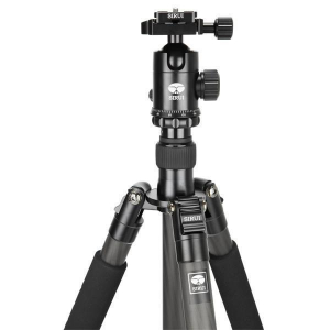 1744417751525-siruiet2204treppiedefotocameredigitalifilm3gambagambenero