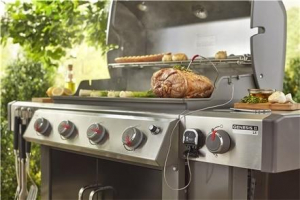 17444450538621-weber7205termometropercibo30300cdigitale