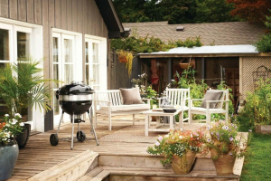 17444925274945-napoleongrillspro22grillkettlecarbonecombustibilenero