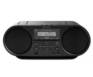 17445346735858-sonyzsrs60bt
