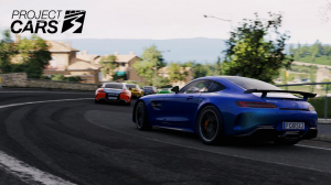 1744534737553-bandainamcoentertainmentprojectcars3standardplaystation4