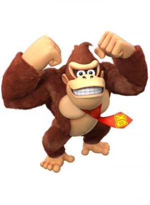 17445358452543-nintendodonkeykongcountrytropicalfreezestandardmultilinguanintendoswitch