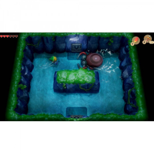 17445359342066-nintendothelegendofzeldalinksawakeningswitchstandardnintendoswitch