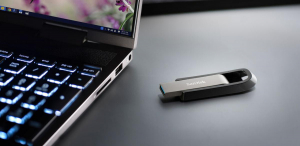 1744542688894-sandiskextremegounitaflashusb256gbusbtipoa32gen131gen1acciaioinox
