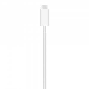 17445534659445-applealimentatoremagsafe
