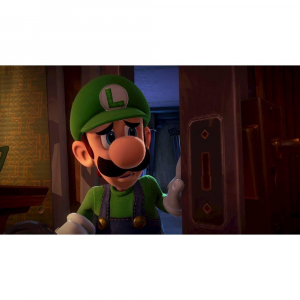 17445684542657-nintendoluigismansion3standardnintendoswitch