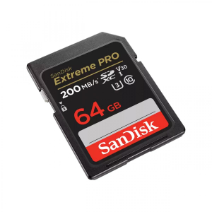 17445699842371-sandiskextremepro64gbsdxcclasse10