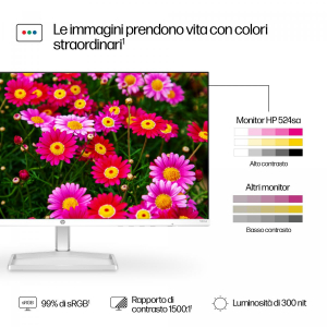 17445824907046-hpseries5238inchfhdmonitorwithspeakers524sa