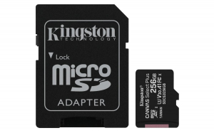 17445905825918-kingstontechnologyschedamicsdxccanvasselectplus100ra1c10da256gbadattatore