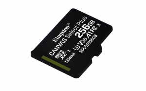 17445905849088-kingstontechnologyschedamicsdxccanvasselectplus100ra1c10da256gbadattatore