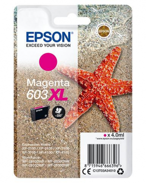 17446008208654-epsonsinglepackmagenta603xlink