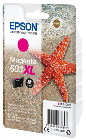 17446008219067-epsonsinglepackmagenta603xlink