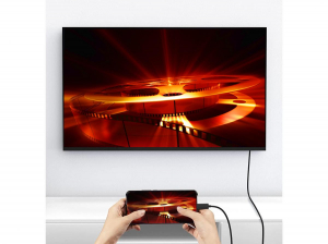 17446062887869-equipcavodausbcadisplayportpremiummm10m8k60hz