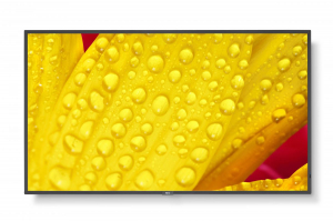 17446252311762-necmultisyncm5012designchiosco127cm50led4kultrahdneroprocessoreintegrato