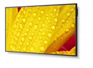 17446252393766-necmultisyncm5012designchiosco127cm50led4kultrahdneroprocessoreintegrato