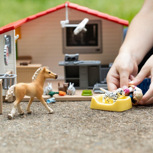 1744633768931-schleich42502setdagioco
