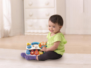 17446405690664-vtechbabynoepianolaluminosa
