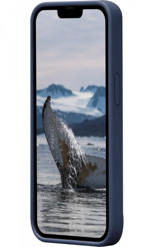 17446623658067-dbramante1928monacocustodiapercellulare155cm61coverblu