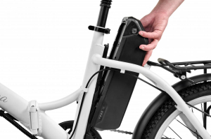 17446661192846-argentoemobilitypiuma