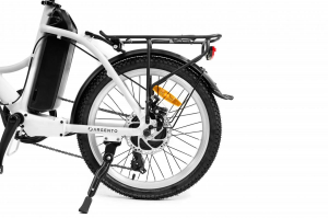 17446661215243-argentoemobilitypiuma