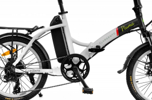 17446661243965-argentoemobilitypiuma