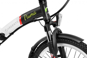 17446661284113-argentoemobilitypiuma