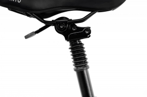 17446662429184-argentoemobilitypiuma