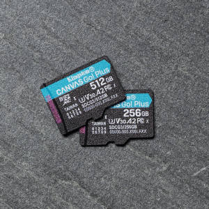 17446672364601-kingstontechnologyschedamicrosdxccanvasgoplus170ra2u3v30da512gbadattatore