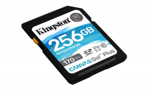 17446676936825-kingstontechnologyschedasdxccanvasgoplus170rc10uhsiu3v30da256gb