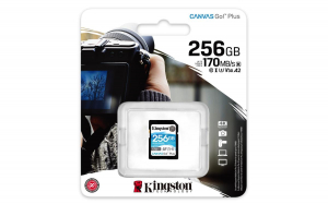 1744667694632-kingstontechnologyschedasdxccanvasgoplus170rc10uhsiu3v30da256gb