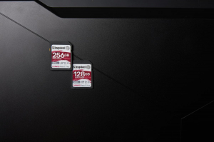 17446677410511-kingstontechnology128gbcanvasreactplussdxcuhsii300r260wu3v90forfullhd4k8k