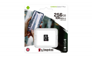 17446677645072-kingstontechnologyschedamicsdxccanvasselectplus100ra1c10da256gbconfezionesingolasenzaadattatore
