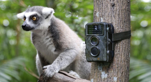 17446685837852-technaxxnaturewildcamtx69scatolainternoeesterno1920x1080pixel