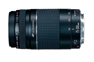 17446917686807-canoneos2000d1855dcsb13016gbkitfotocamereslr241mpcmos6000x4000pixelnero